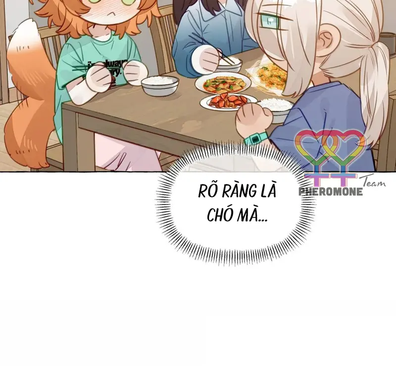 Hồ Ly Vẫn Luôn Nói Dối - Pheromone Chapter 48 - Trang 29