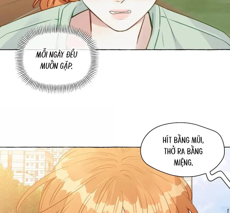 Hồ Ly Vẫn Luôn Nói Dối - Pheromone Chapter 49 - Trang 37