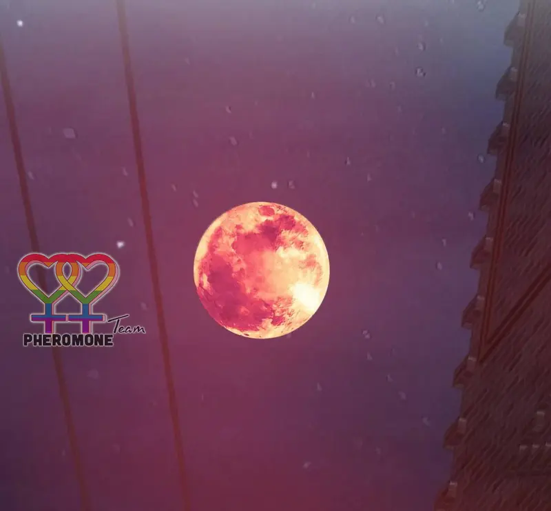 Hồ Ly Vẫn Luôn Nói Dối - Pheromone Chapter 50 - Trang 30