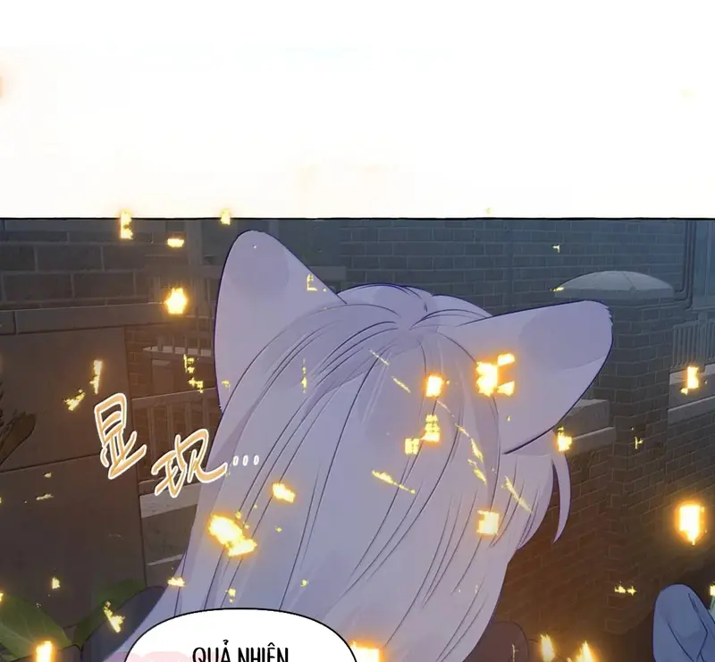Hồ Ly Vẫn Luôn Nói Dối - Pheromone Chapter 50 - Trang 45