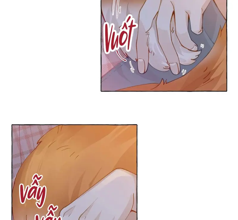Hồ Ly Vẫn Luôn Nói Dối - Pheromone Chapter 8 - Trang 11