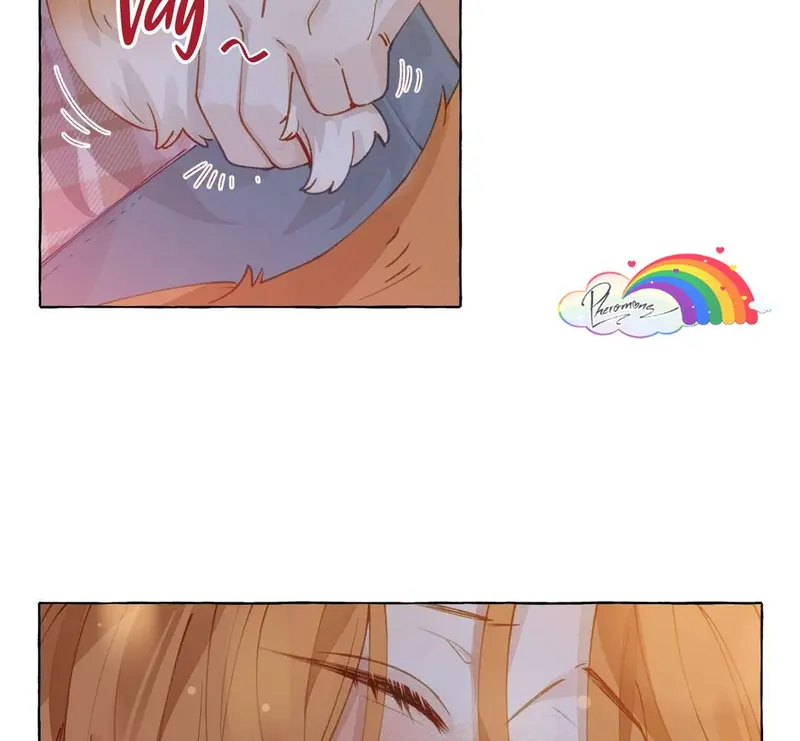 Hồ Ly Vẫn Luôn Nói Dối - Pheromone Chapter 8 - Trang 12