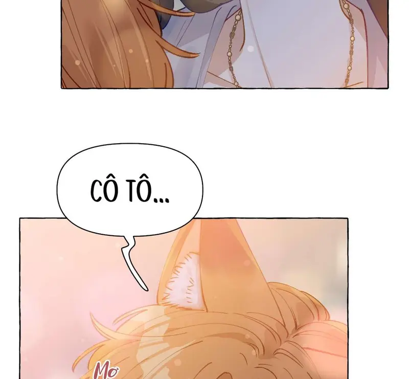 Hồ Ly Vẫn Luôn Nói Dối - Pheromone Chapter 8 - Trang 15