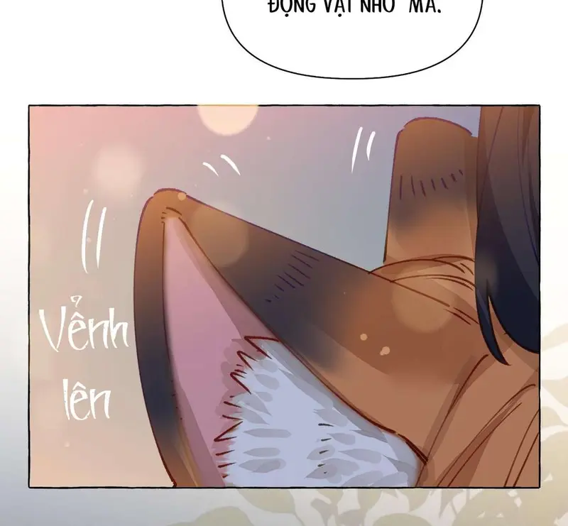 Hồ Ly Vẫn Luôn Nói Dối - Pheromone Chapter 8 - Trang 39
