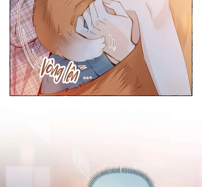 Hồ Ly Vẫn Luôn Nói Dối - Pheromone Chapter 8 - Trang 7