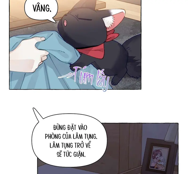 Hồ Ly Vẫn Luôn Nói Dối - Pheromone Chapter 9 - Trang 12