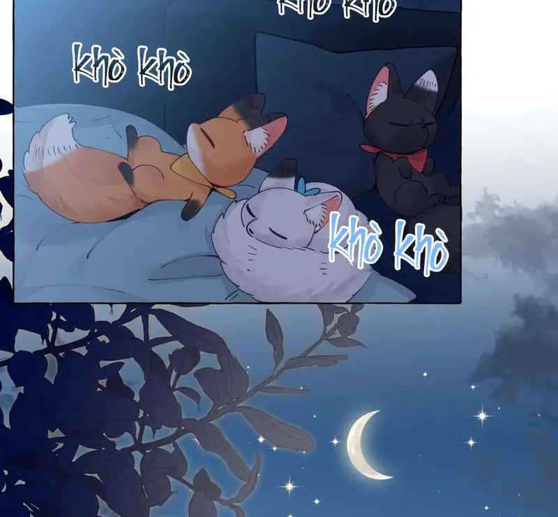 Hồ Ly Vẫn Luôn Nói Dối - Pheromone Chapter 9 - Trang 23