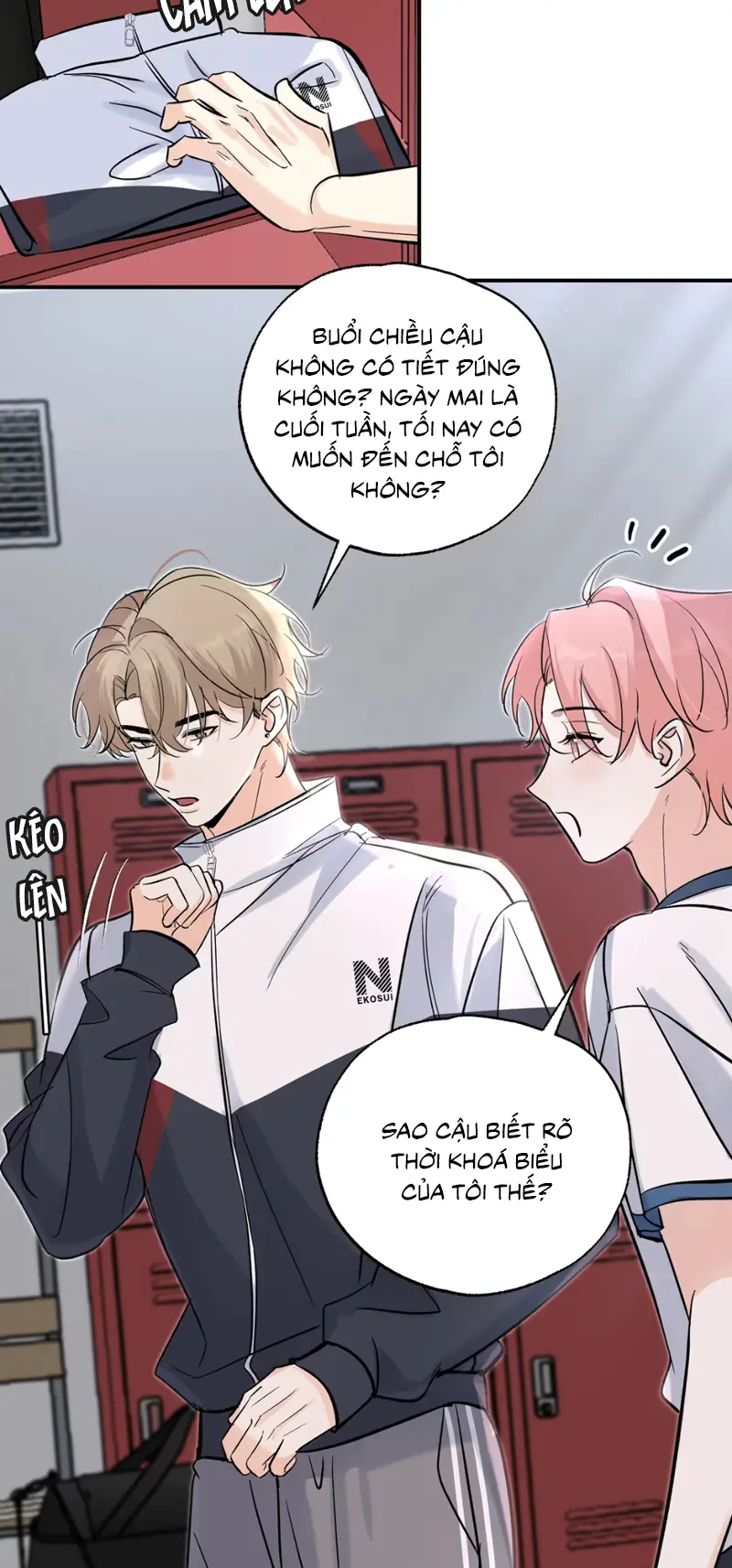 Hổ Ngửi Hoa Tường Vi Chapter 13 - Trang 24