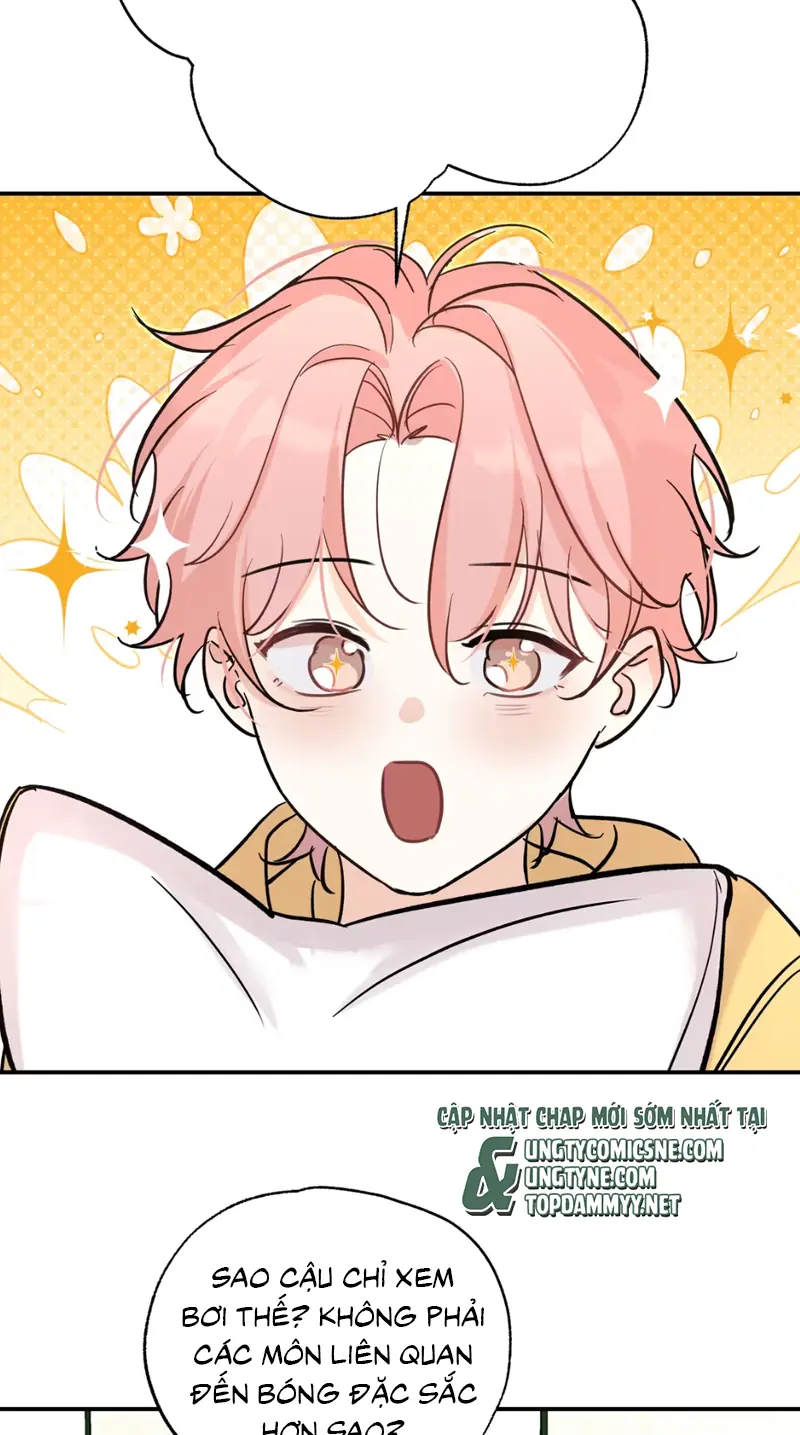 Hổ Ngửi Hoa Tường Vi Chapter 13 - Trang 6