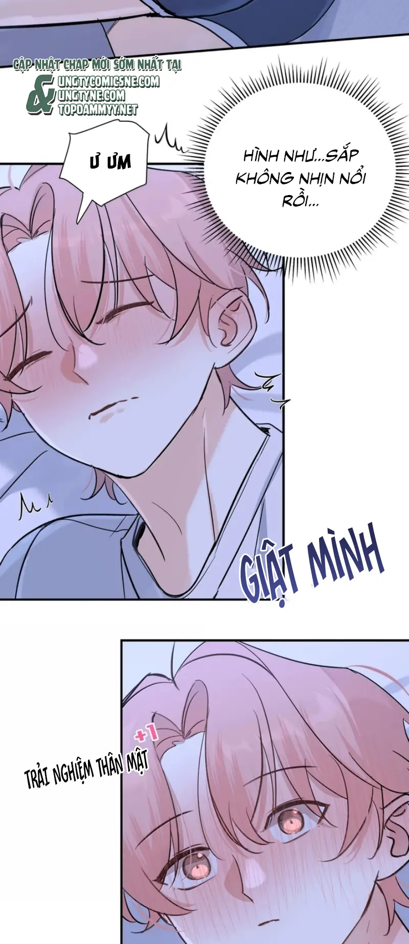 Hổ Ngửi Hoa Tường Vi Chapter 15 - Trang 6
