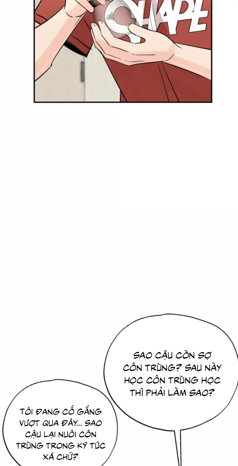 Hổ Ngửi Hoa Tường Vi Chapter 16 - Trang 10
