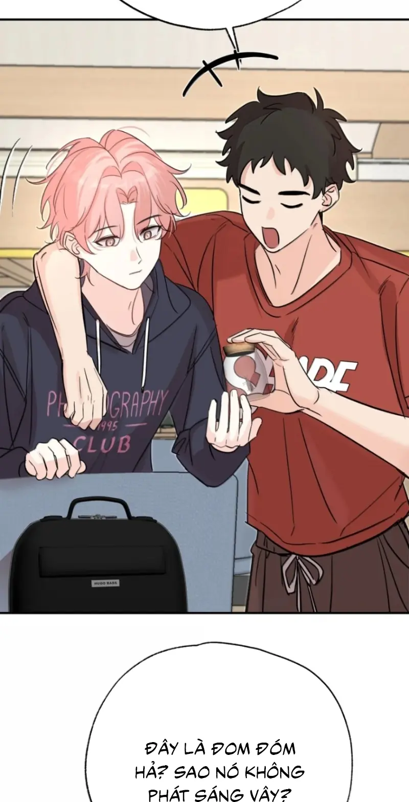 Hổ Ngửi Hoa Tường Vi Chapter 16 - Trang 12