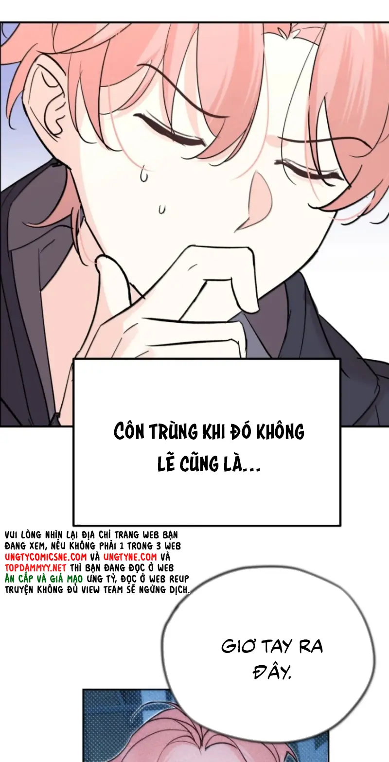 Hổ Ngửi Hoa Tường Vi Chapter 16 - Trang 15