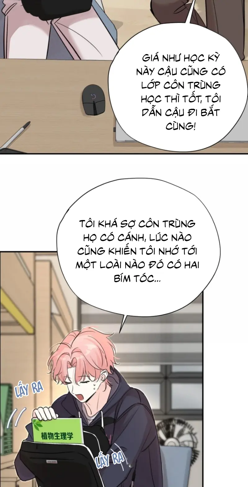 Hổ Ngửi Hoa Tường Vi Chapter 16 - Trang 20