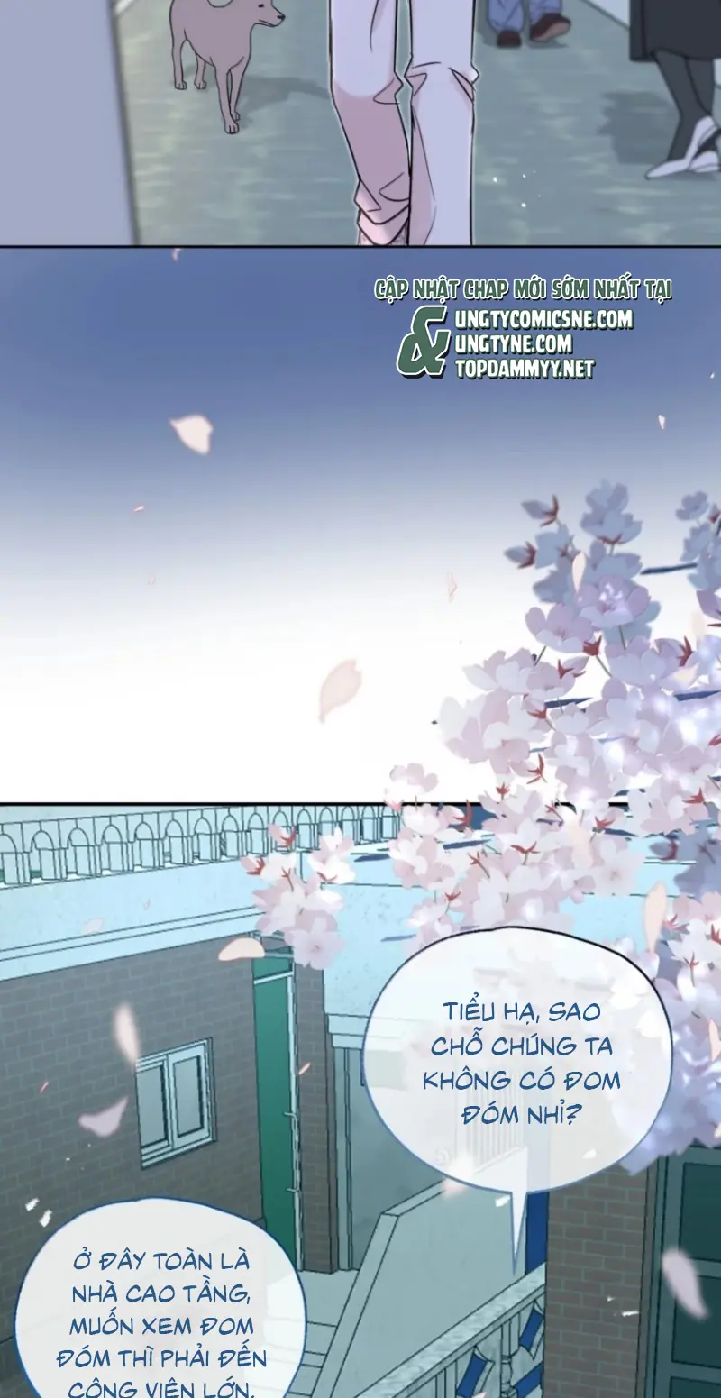 Hổ Ngửi Hoa Tường Vi Chapter 16 - Trang 34