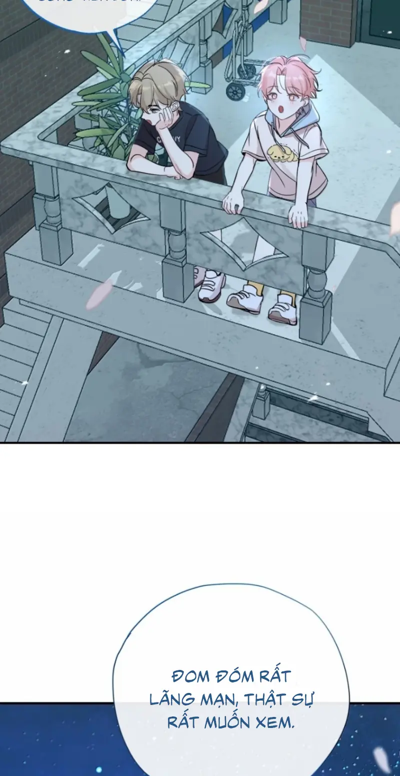 Hổ Ngửi Hoa Tường Vi Chapter 16 - Trang 35