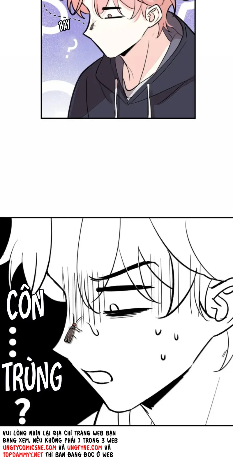 Hổ Ngửi Hoa Tường Vi Chapter 16 - Trang 7