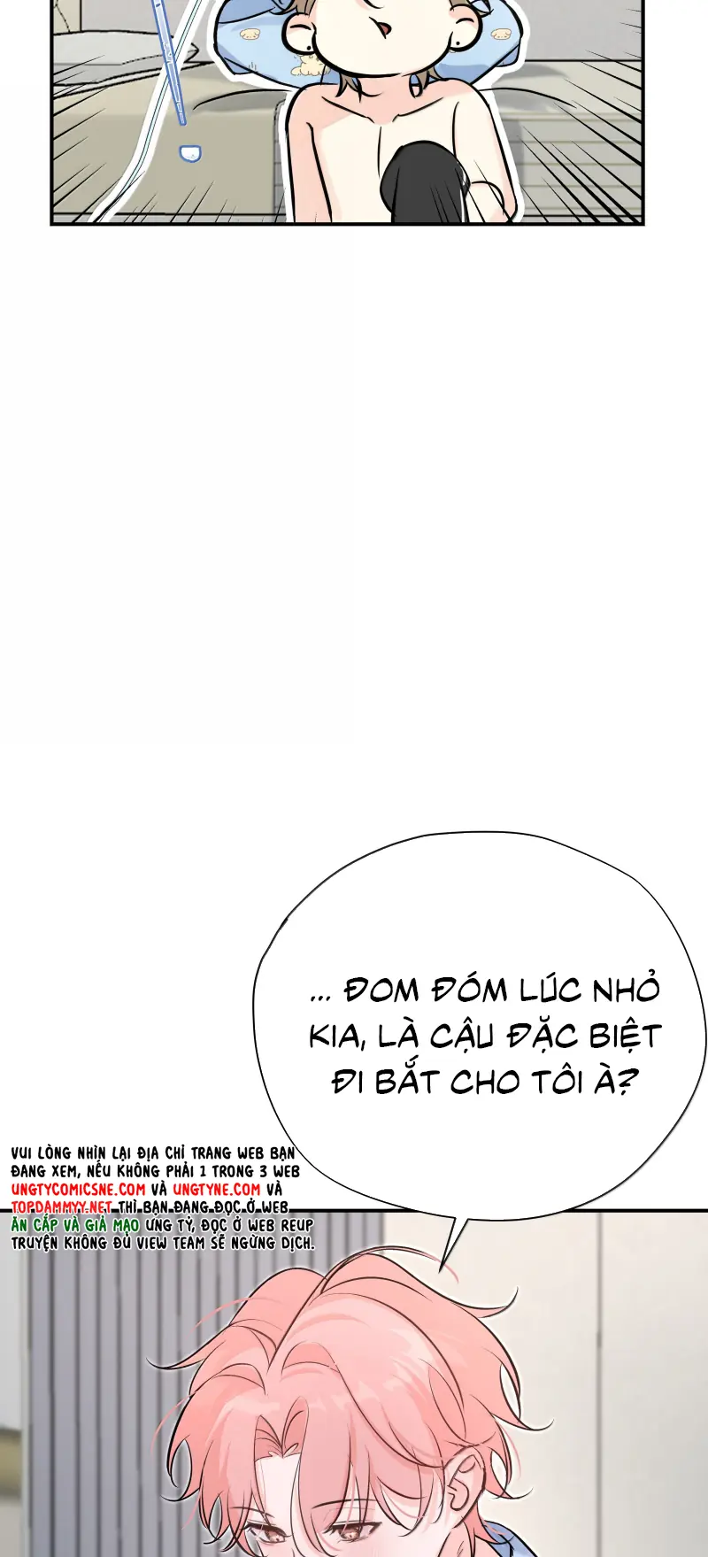 Hổ Ngửi Hoa Tường Vi Chapter 18 - Trang 24