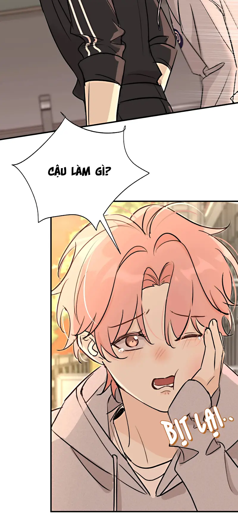 Hổ Ngửi Hoa Tường Vi Chapter 8 - Trang 26