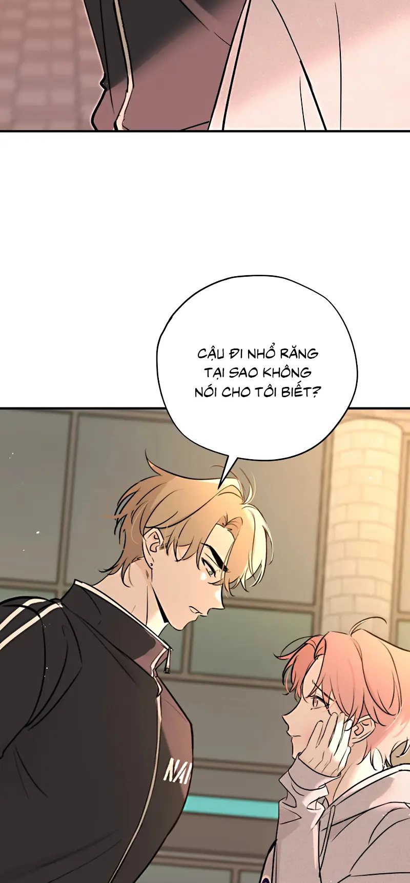 Hổ Ngửi Hoa Tường Vi Chapter 8 - Trang 28