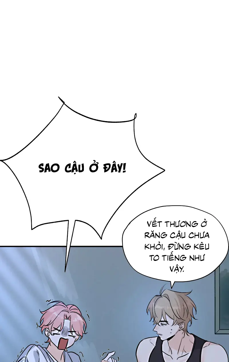Hổ Ngửi Hoa Tường Vi Chapter 9 - Trang 28