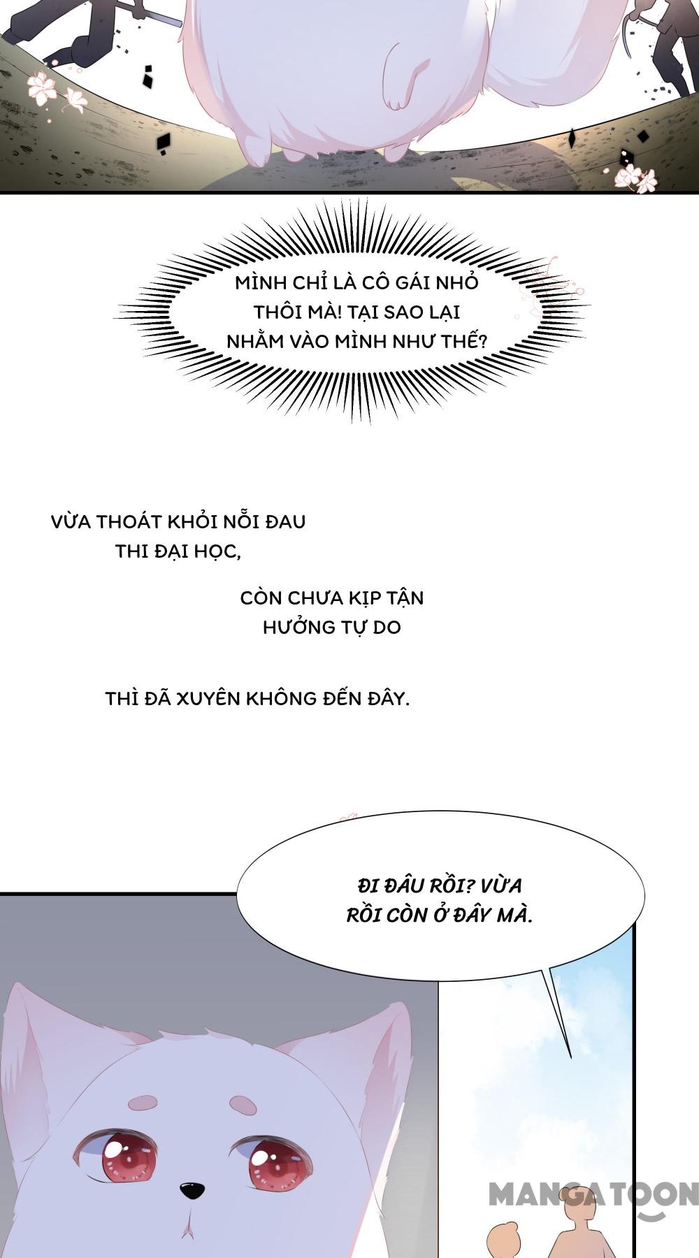Hồ Phi Chớ Dây Vào Lửa Chapter 1 - Trang 12