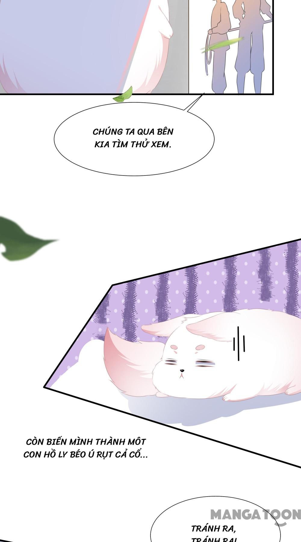 Hồ Phi Chớ Dây Vào Lửa Chapter 1 - Trang 13
