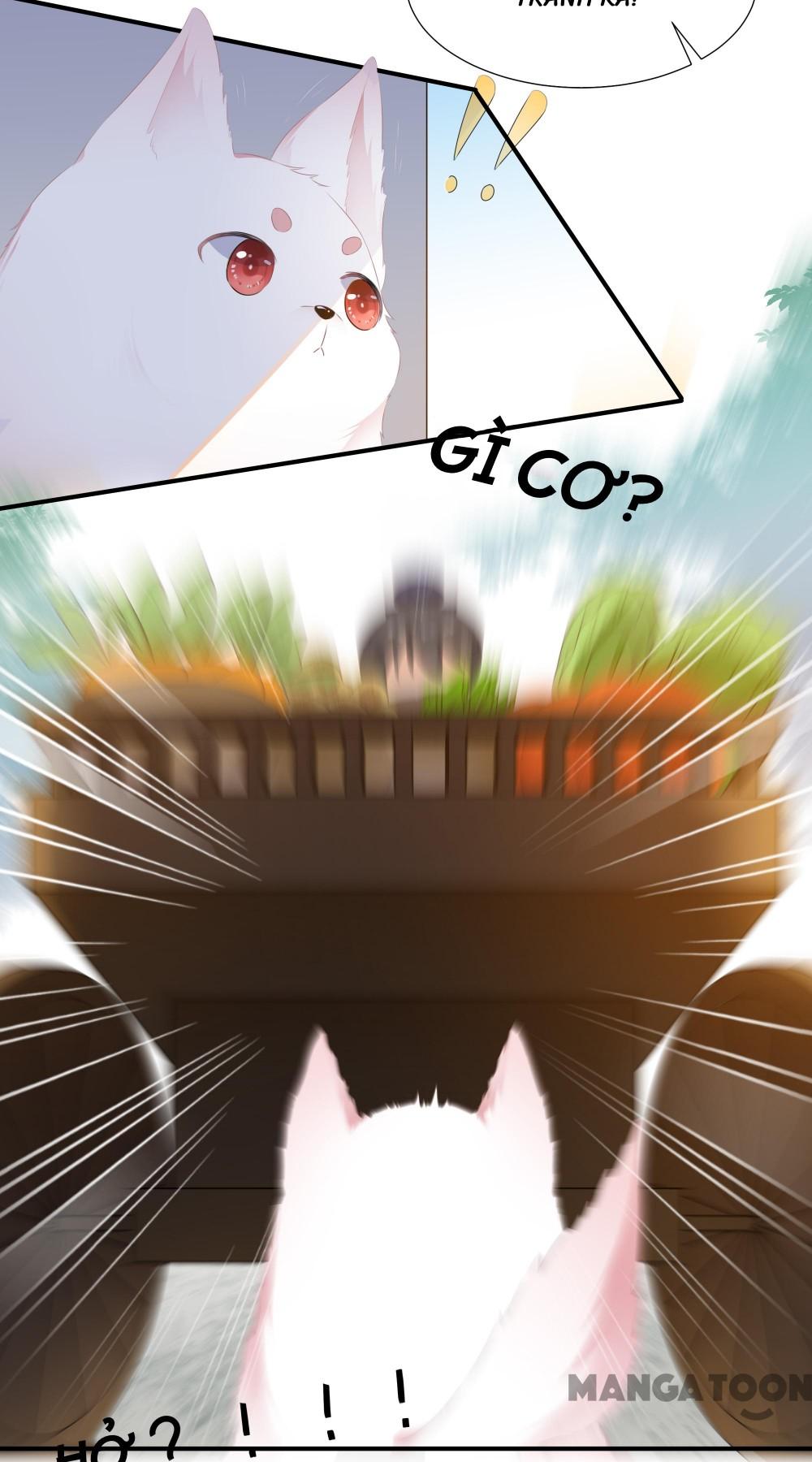 Hồ Phi Chớ Dây Vào Lửa Chapter 1 - Trang 14