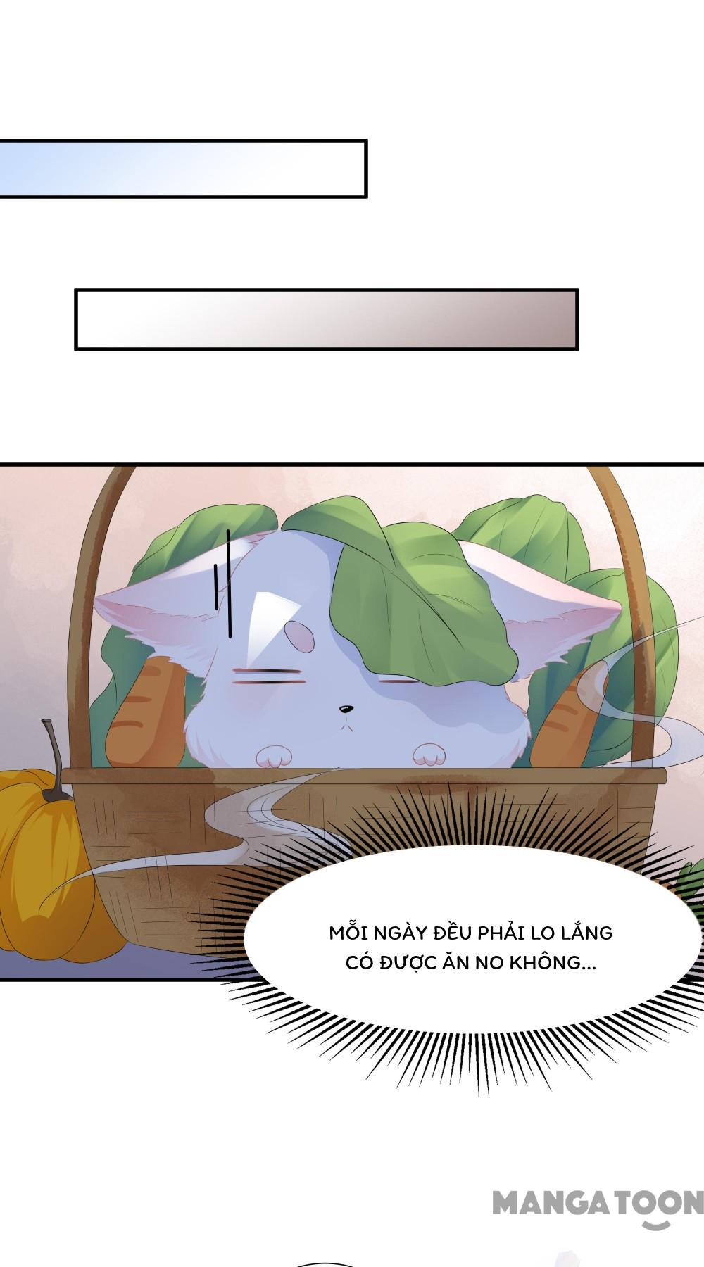 Hồ Phi Chớ Dây Vào Lửa Chapter 1 - Trang 16