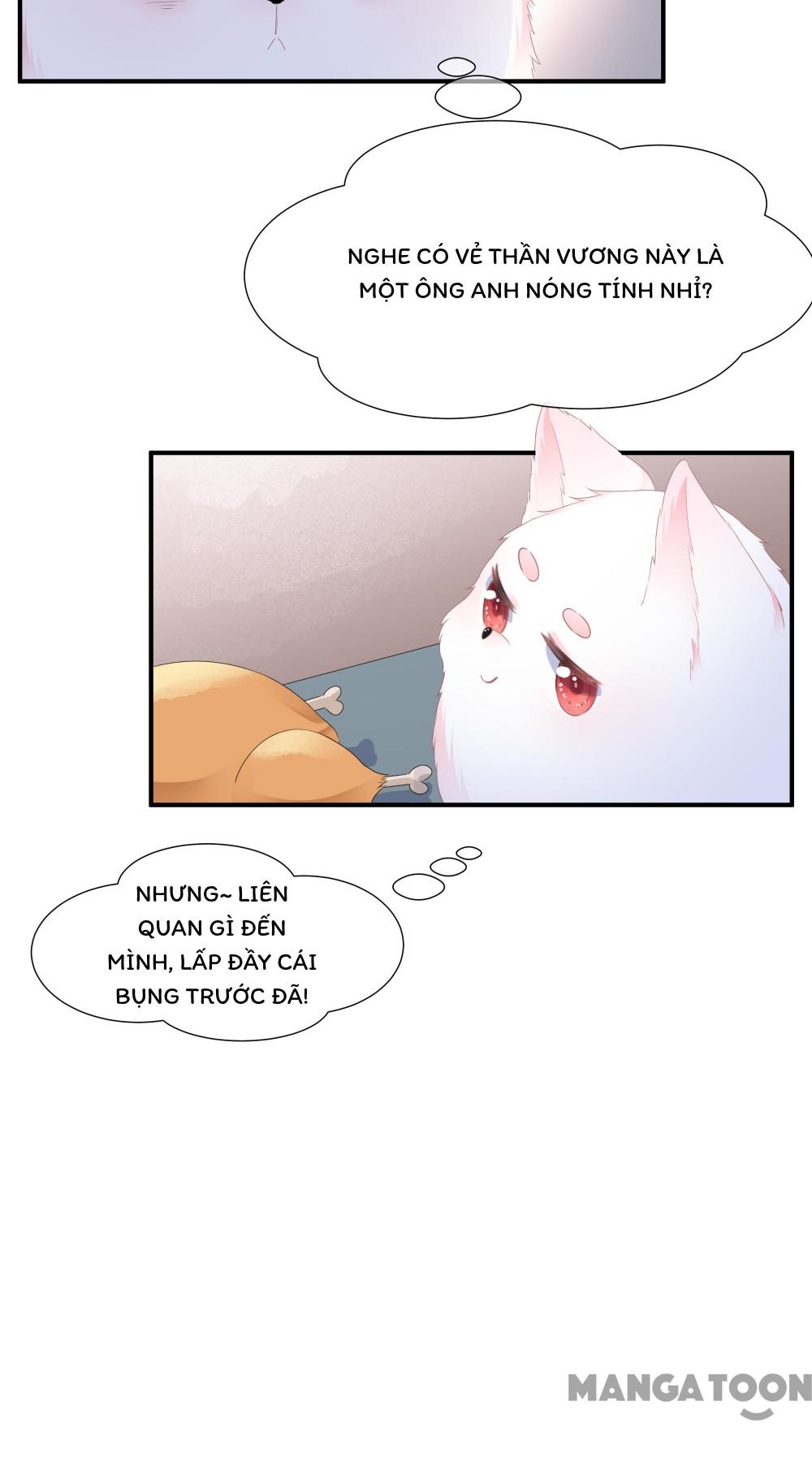 Hồ Phi Chớ Dây Vào Lửa Chapter 1 - Trang 21