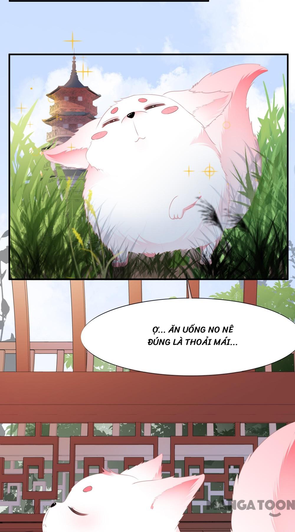 Hồ Phi Chớ Dây Vào Lửa Chapter 1 - Trang 24