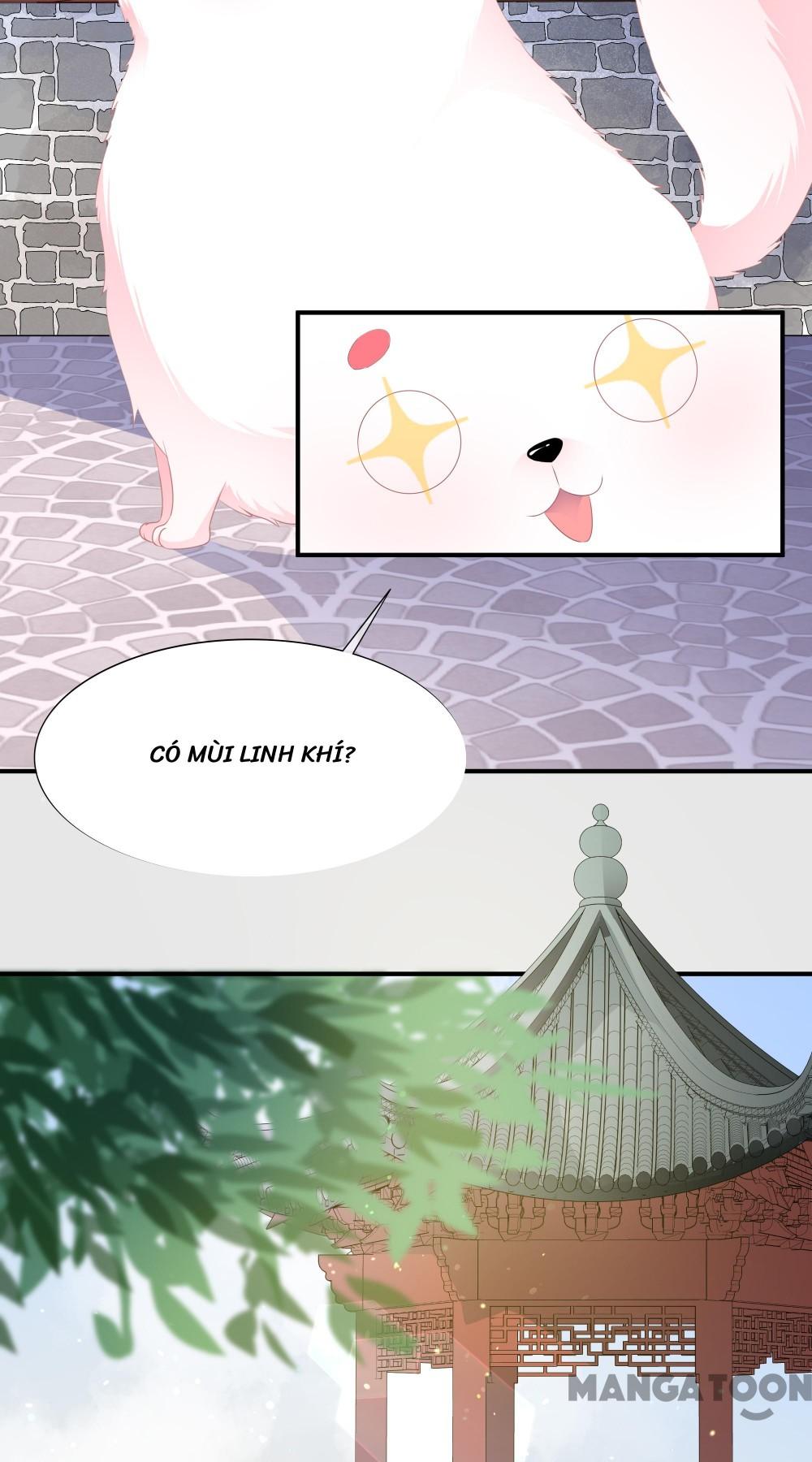 Hồ Phi Chớ Dây Vào Lửa Chapter 1 - Trang 25