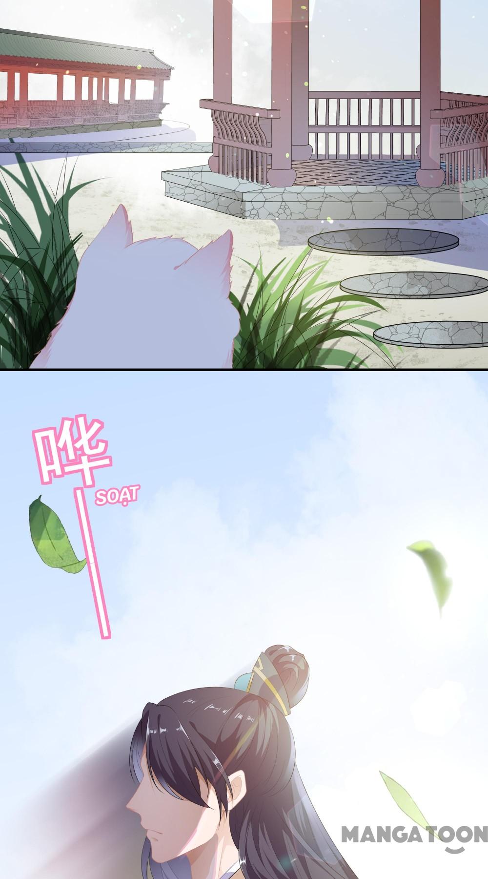Hồ Phi Chớ Dây Vào Lửa Chapter 1 - Trang 26