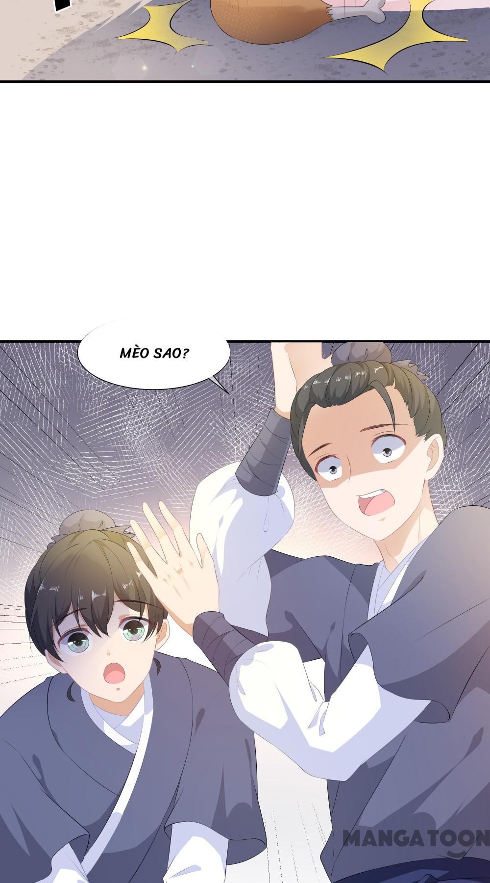 Hồ Phi Chớ Dây Vào Lửa Chapter 1 - Trang 6