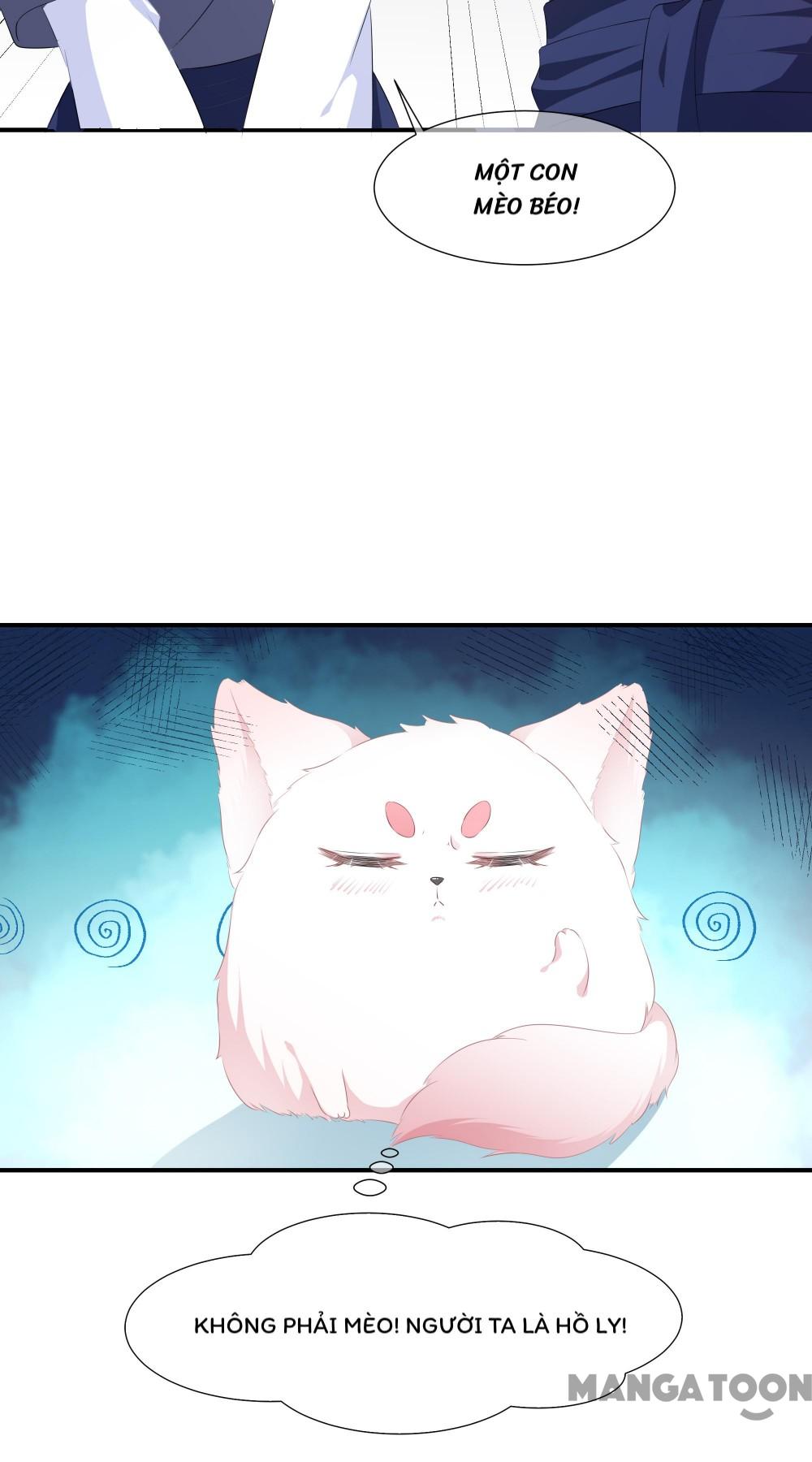 Hồ Phi Chớ Dây Vào Lửa Chapter 1 - Trang 7