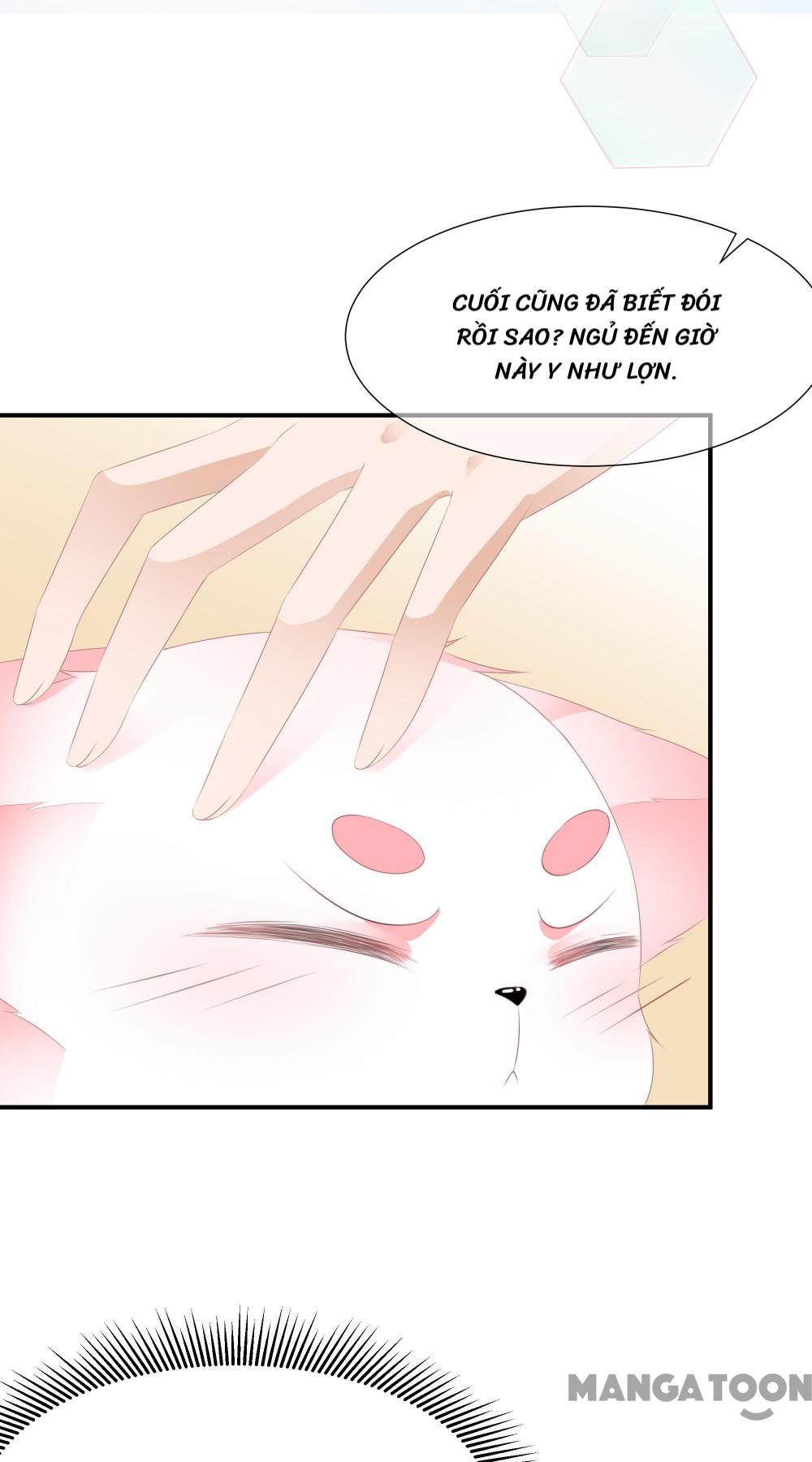 Hồ Phi Chớ Dây Vào Lửa Chapter 10 - Trang 12