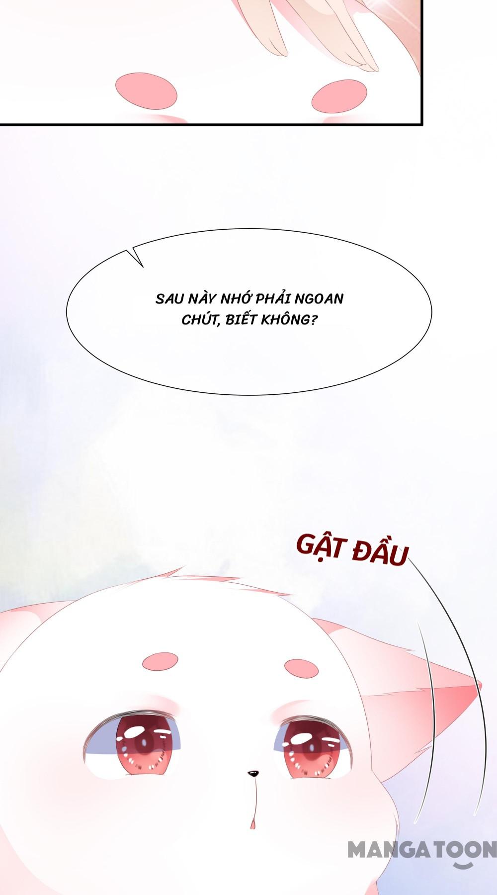 Hồ Phi Chớ Dây Vào Lửa Chapter 10 - Trang 20
