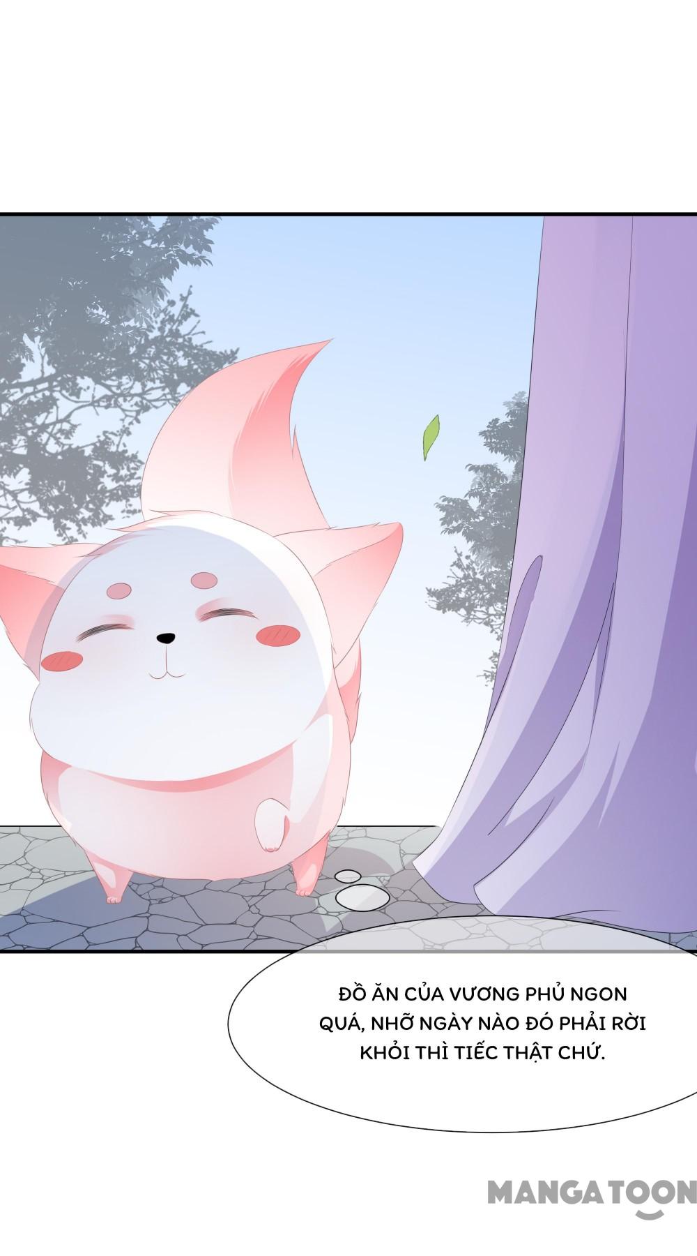 Hồ Phi Chớ Dây Vào Lửa Chapter 10 - Trang 23