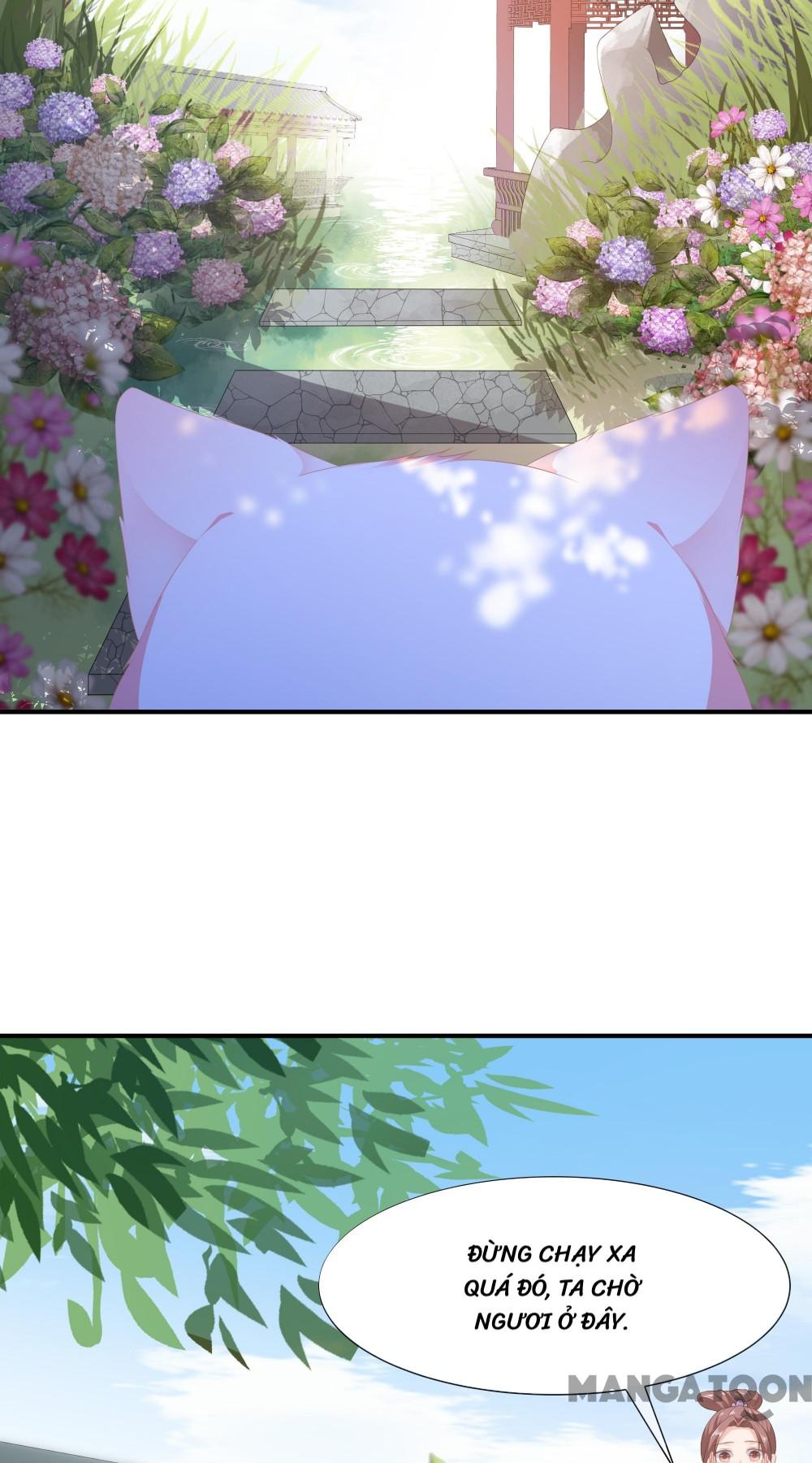 Hồ Phi Chớ Dây Vào Lửa Chapter 10 - Trang 25