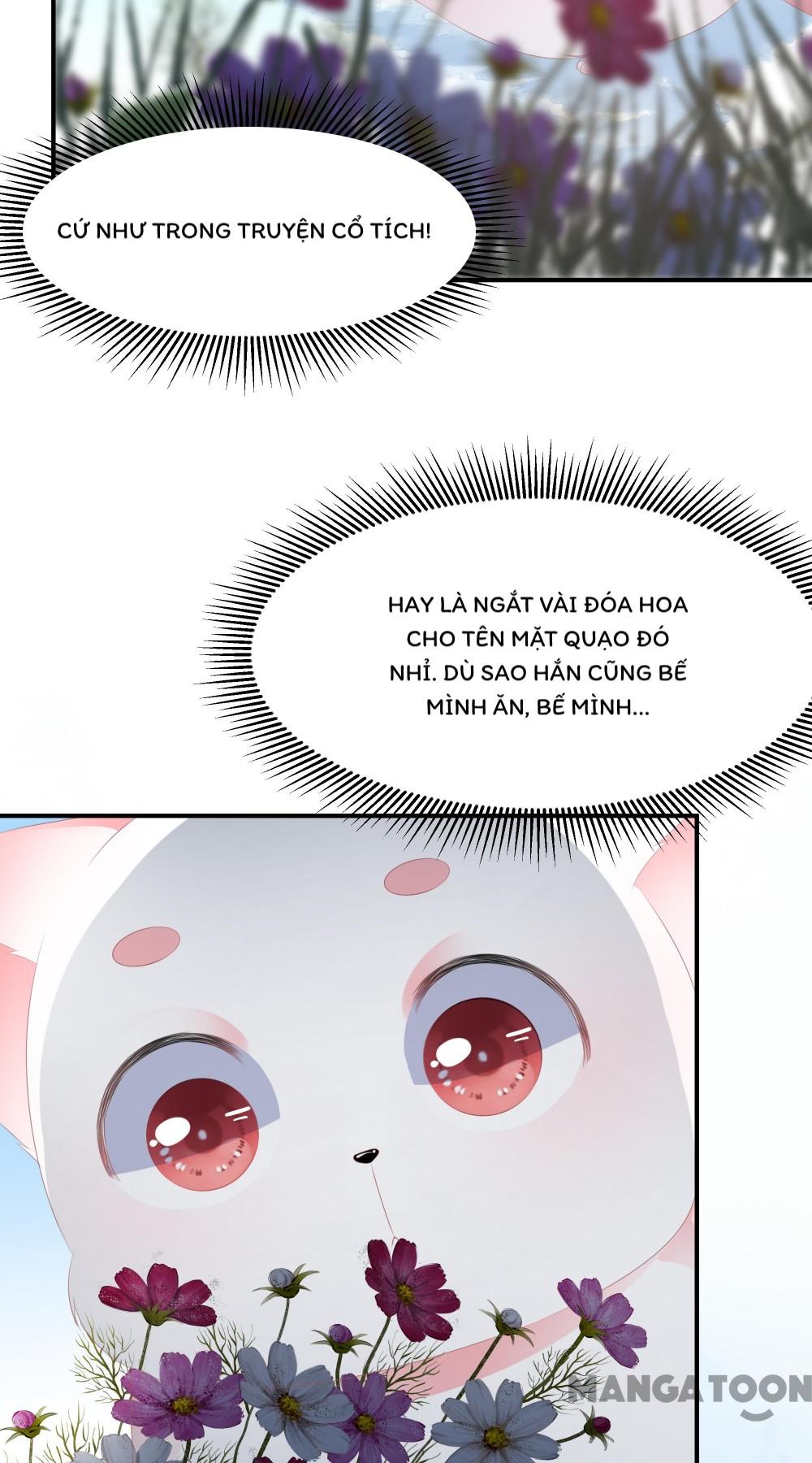 Hồ Phi Chớ Dây Vào Lửa Chapter 10 - Trang 27