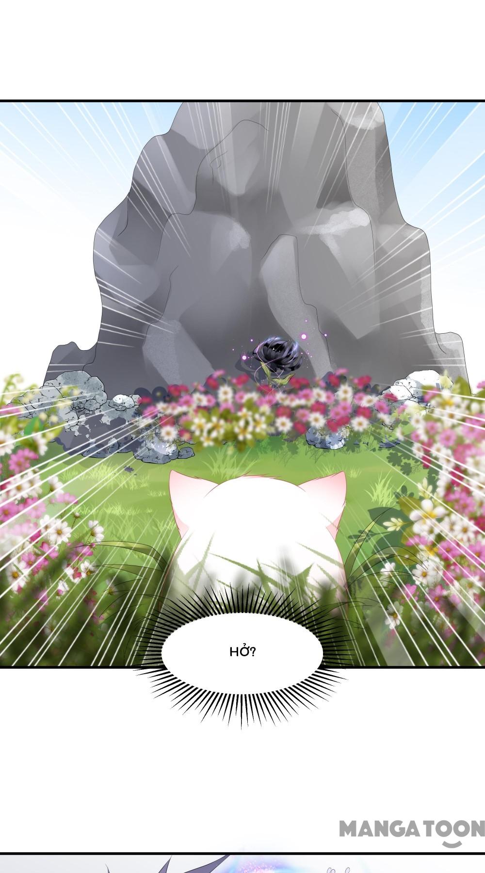 Hồ Phi Chớ Dây Vào Lửa Chapter 10 - Trang 30