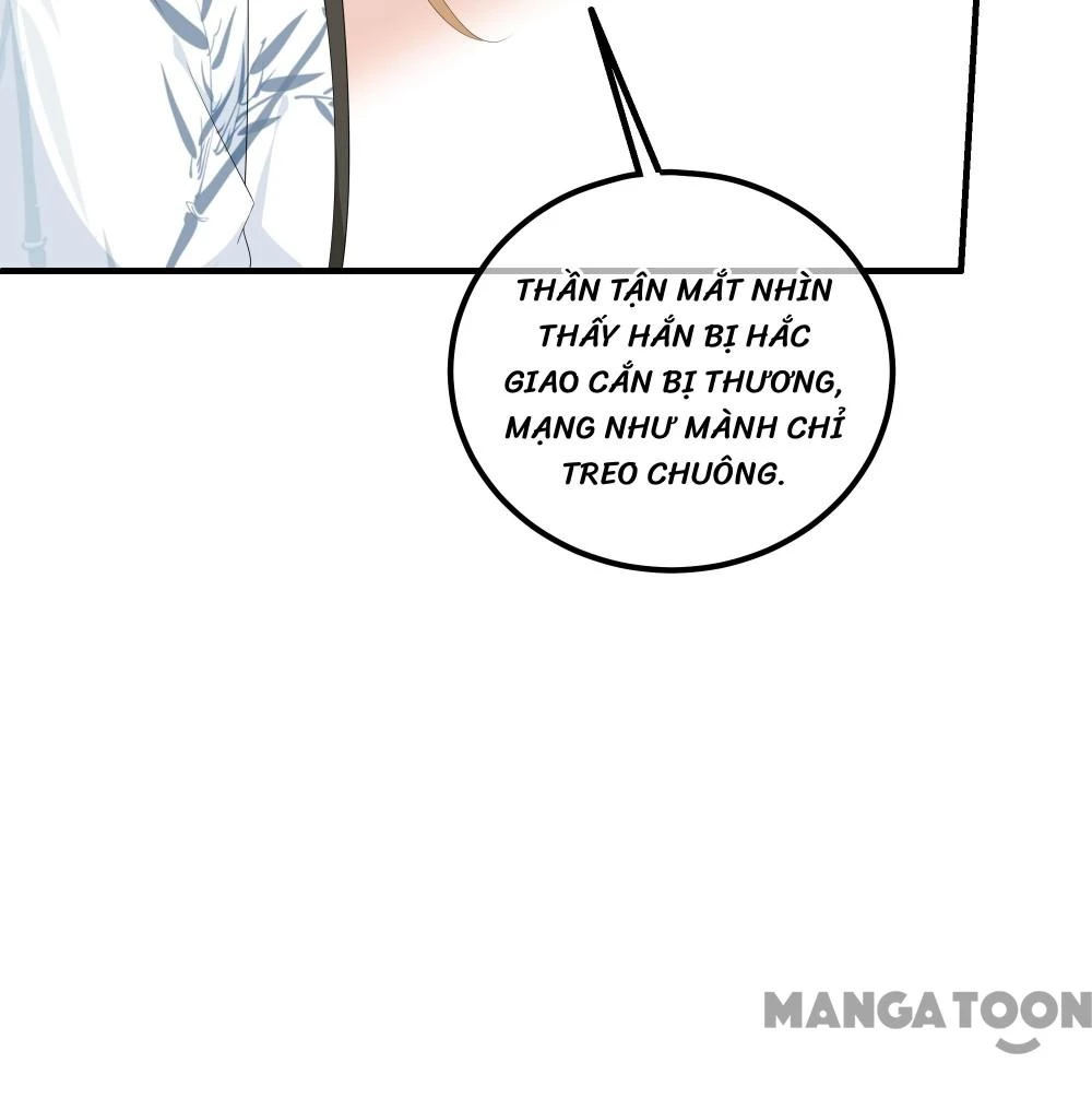 Hồ Phi Chớ Dây Vào Lửa Chapter 105 - Trang 15