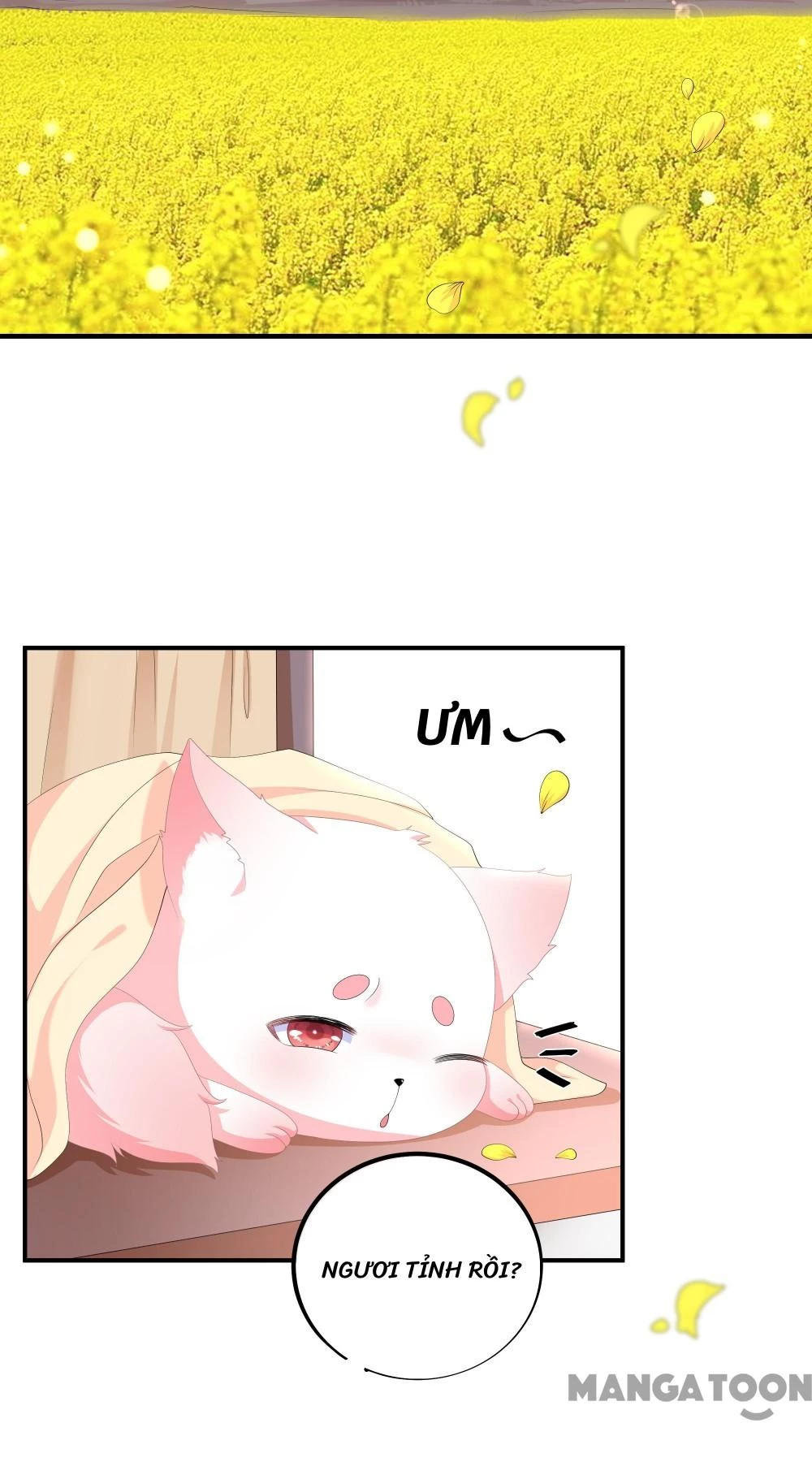 Hồ Phi Chớ Dây Vào Lửa Chapter 109 - Trang 27