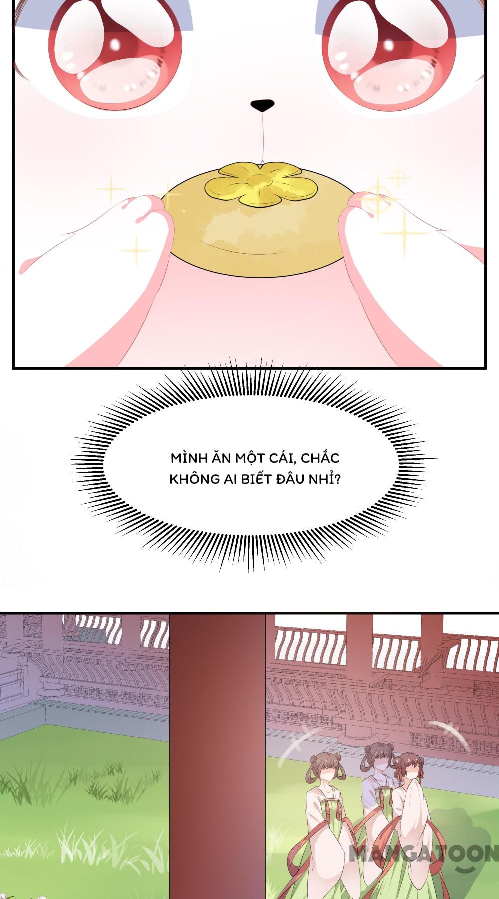Hồ Phi Chớ Dây Vào Lửa Chapter 11 - Trang 11
