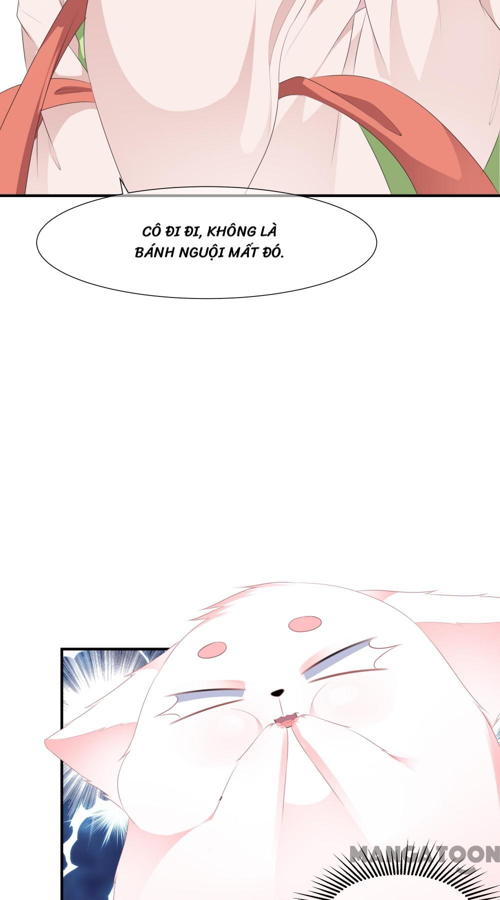 Hồ Phi Chớ Dây Vào Lửa Chapter 11 - Trang 13