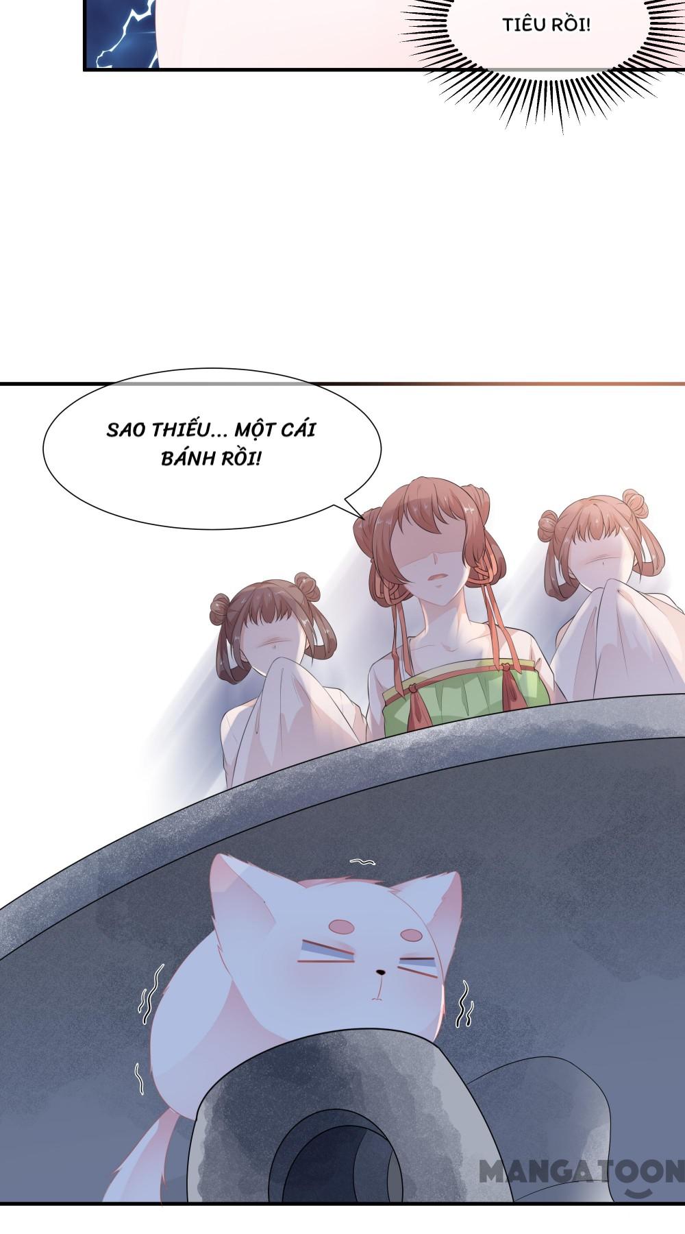 Hồ Phi Chớ Dây Vào Lửa Chapter 11 - Trang 14