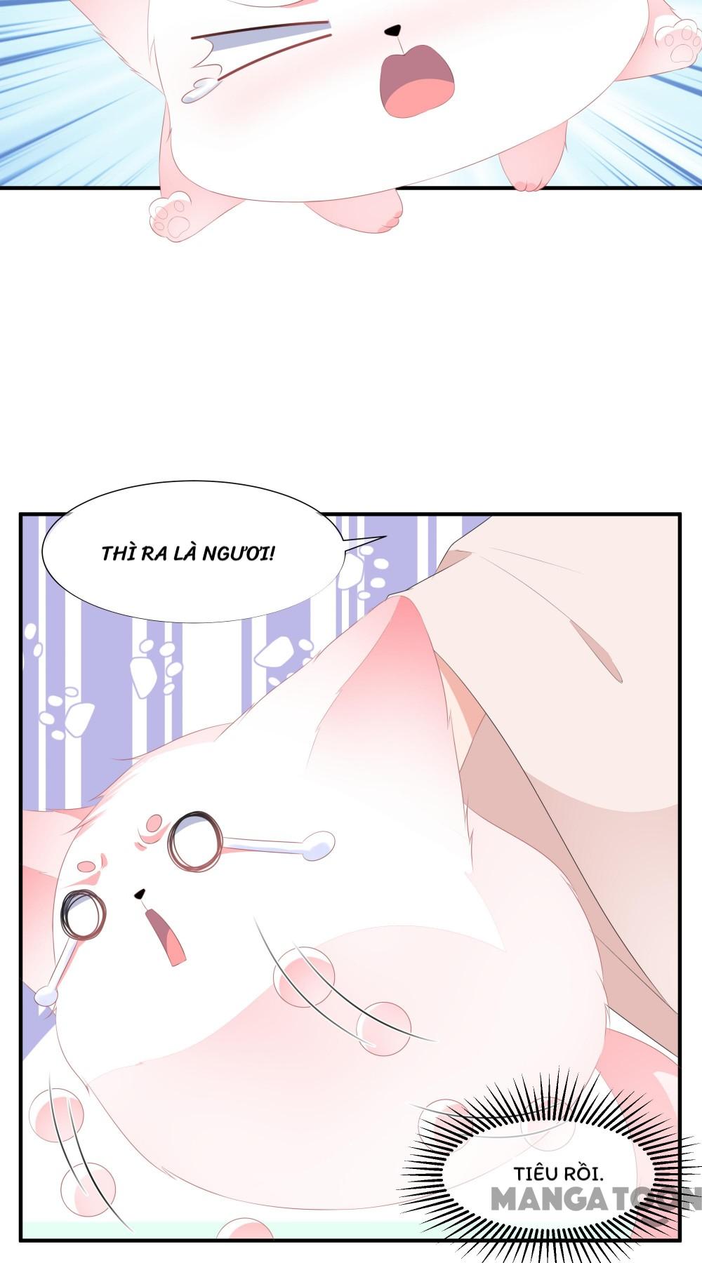 Hồ Phi Chớ Dây Vào Lửa Chapter 11 - Trang 20