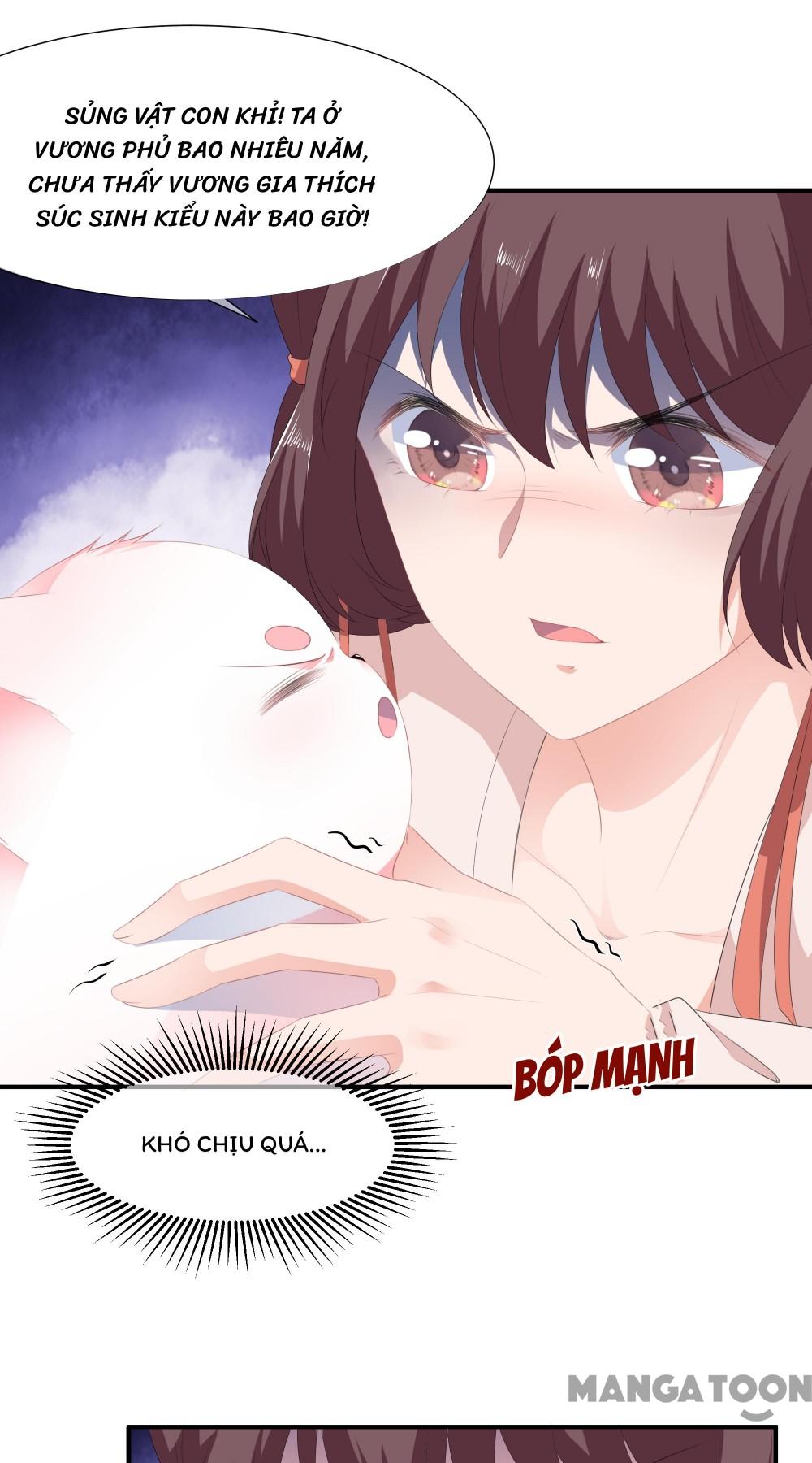 Hồ Phi Chớ Dây Vào Lửa Chapter 11 - Trang 23