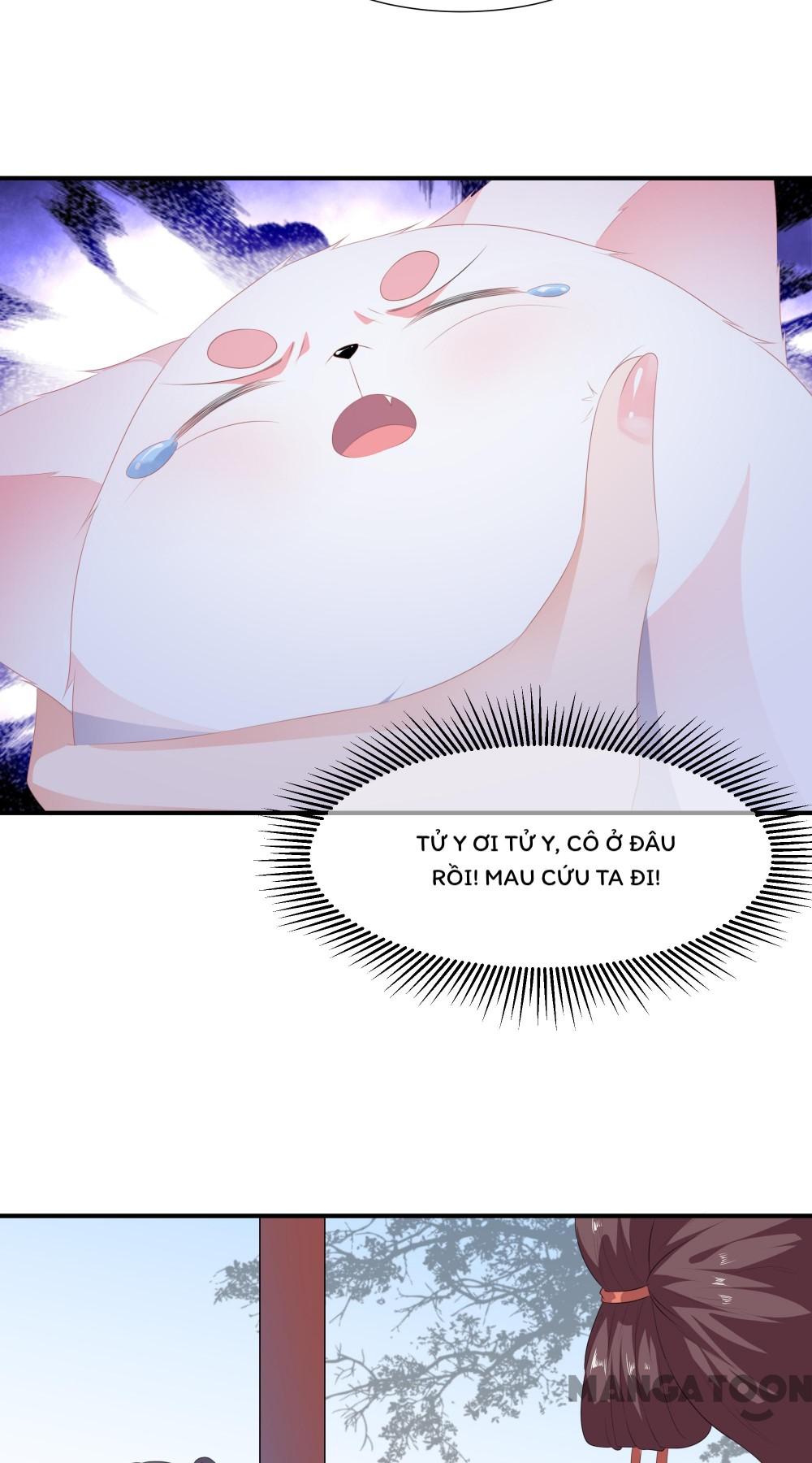 Hồ Phi Chớ Dây Vào Lửa Chapter 11 - Trang 25