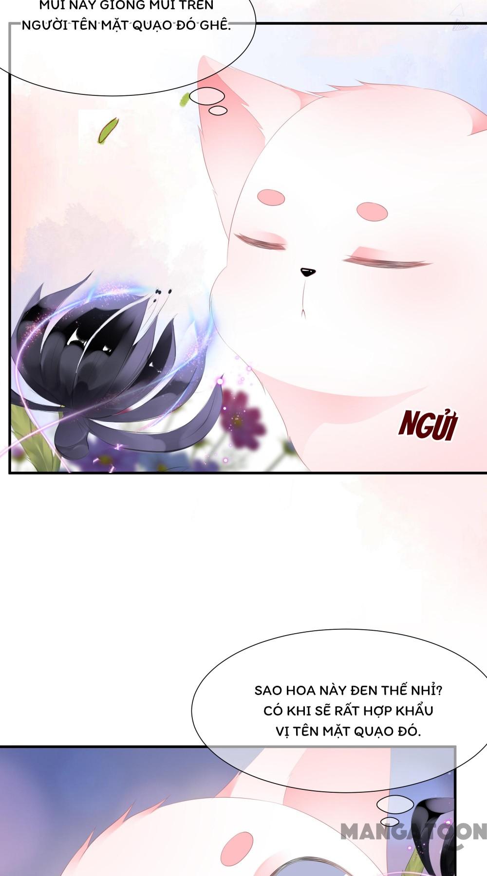 Hồ Phi Chớ Dây Vào Lửa Chapter 11 - Trang 3